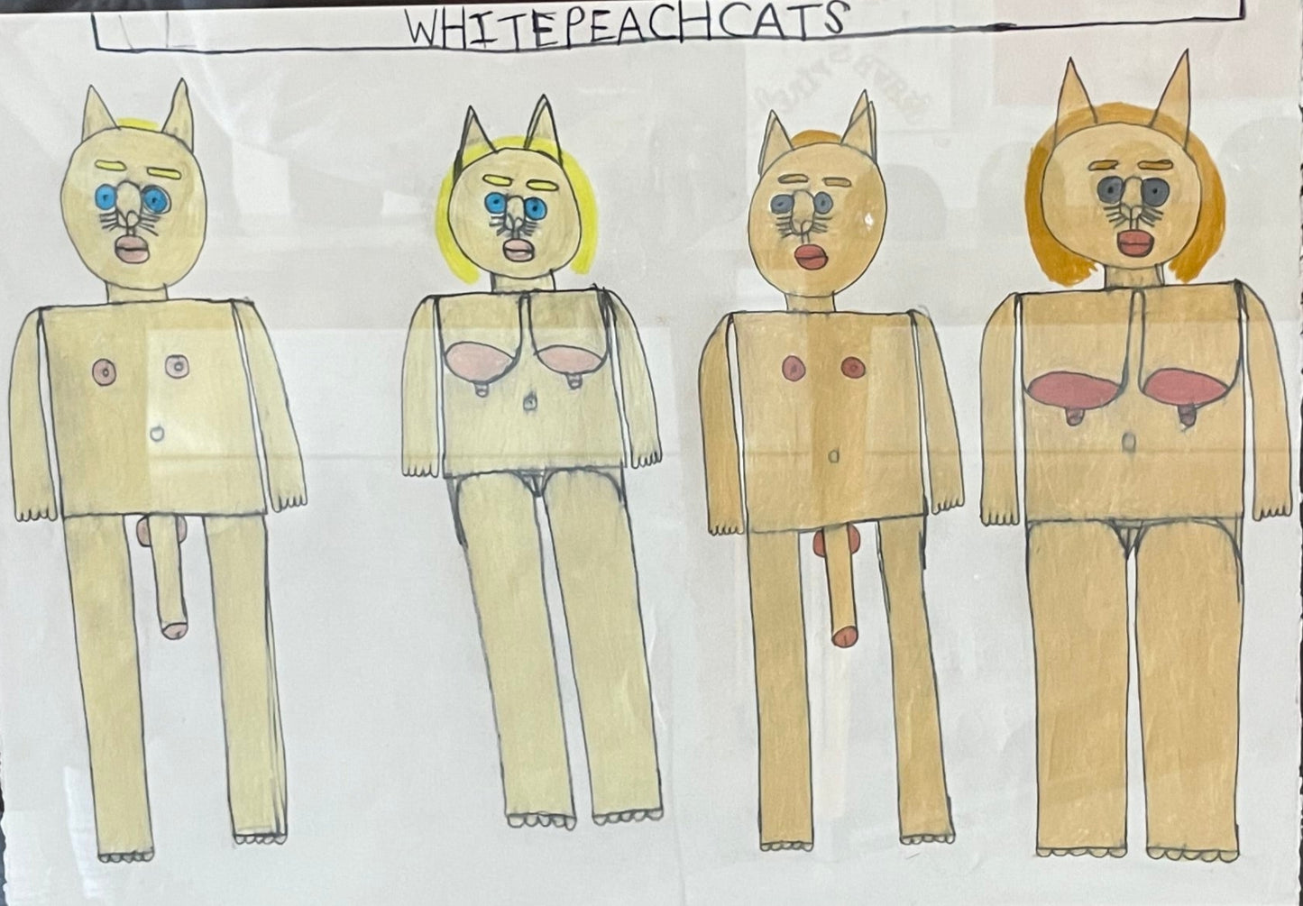 White Peach Cats